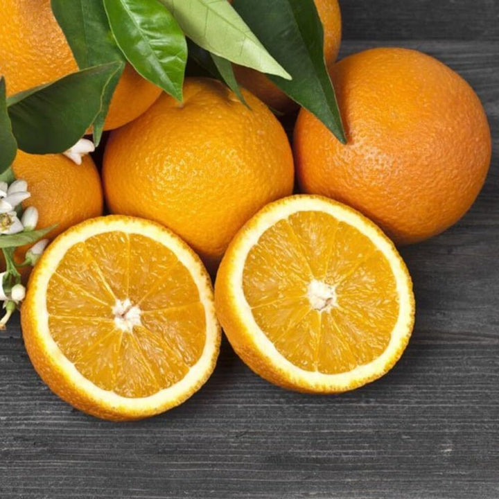 Orange Mandarin Seeds – Heirloom Non-GMO High Germination Organic Garden Seeds