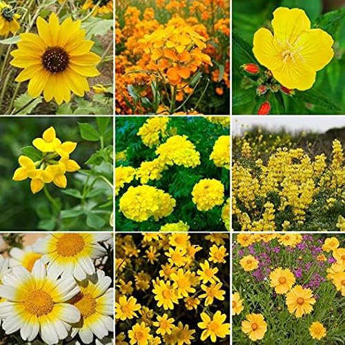 hummingbird flower flower seeds