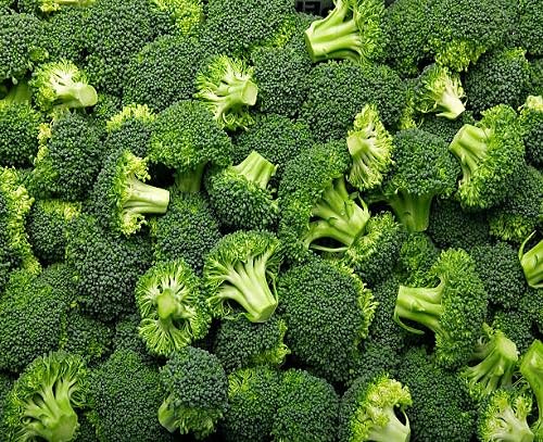 Broccoli Green Seeds – Heirloom, Non-GMO, High Germination Organic Garden Seeds Planting