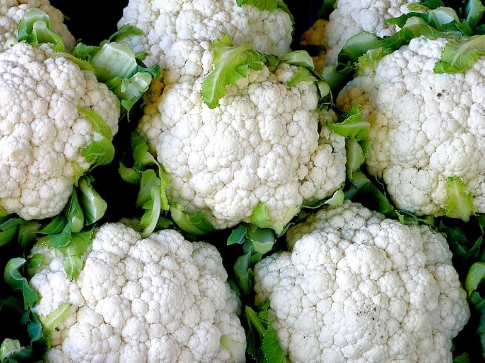 Calybow Organic herb seeds