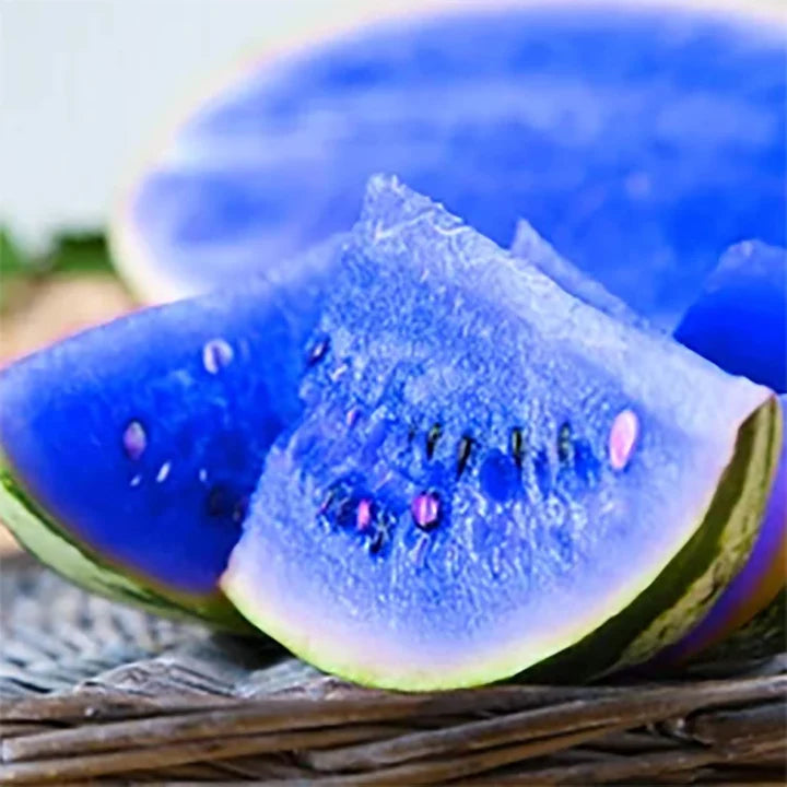 Dark Blue Watermelon Fruit Seeds for Planting – Heirloom &amp; Non-GMO High Germination Organic Garden Seeds for Sweet and Juicy Summer Harvests