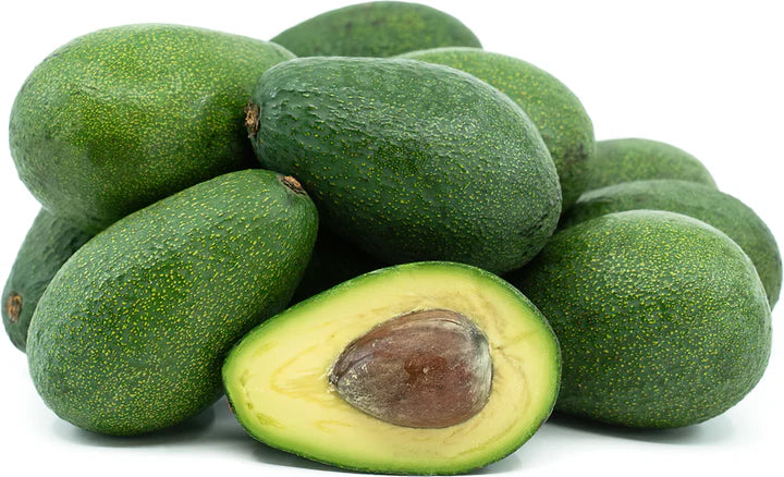 Fuerte Avocado Fruit Seeds for Planting Heirloom Non-GMO High Germination Organic Garden Seeds