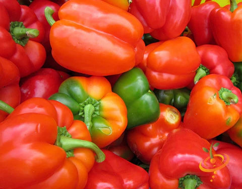Pimientos Dulces California Wonder, Semillas de Pimiento Morron Verde y Rojo para Siembra en Huerto Casero,