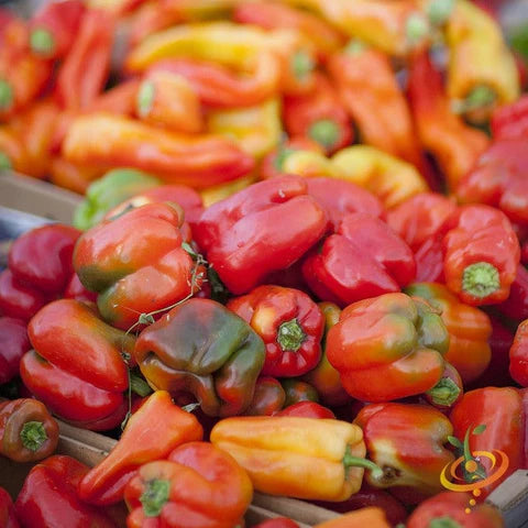 California Wonder Sweet Bell Pepper Seeds for Planting - Heirloom Non-GMO Garden Seeds to Grow at Home Naturally