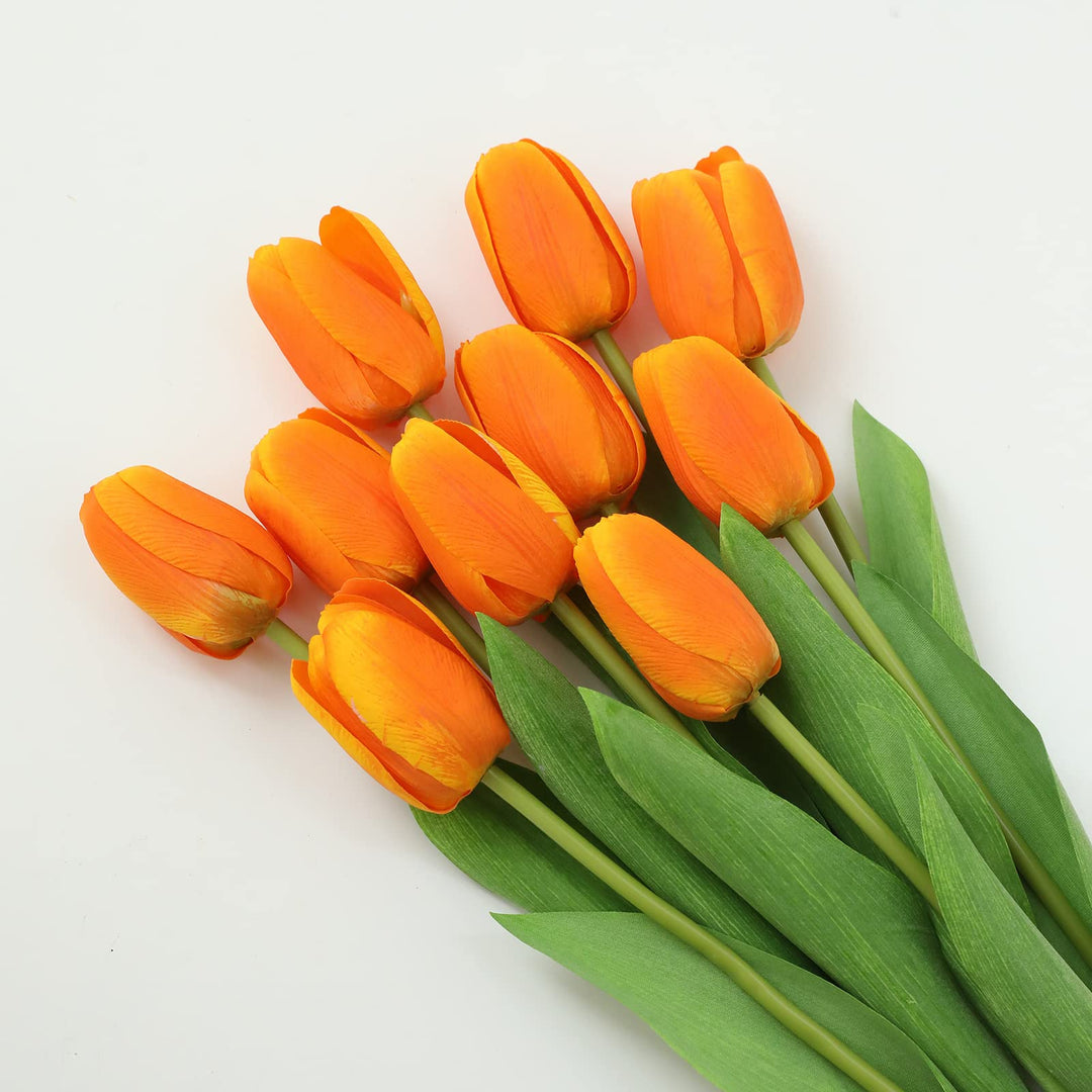 Orange Tulip Flower Seeds – Heirloom, Non-GMO, High Germination Seeds for Planting