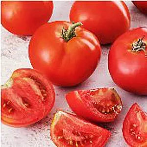 creole tomato flower seeds
