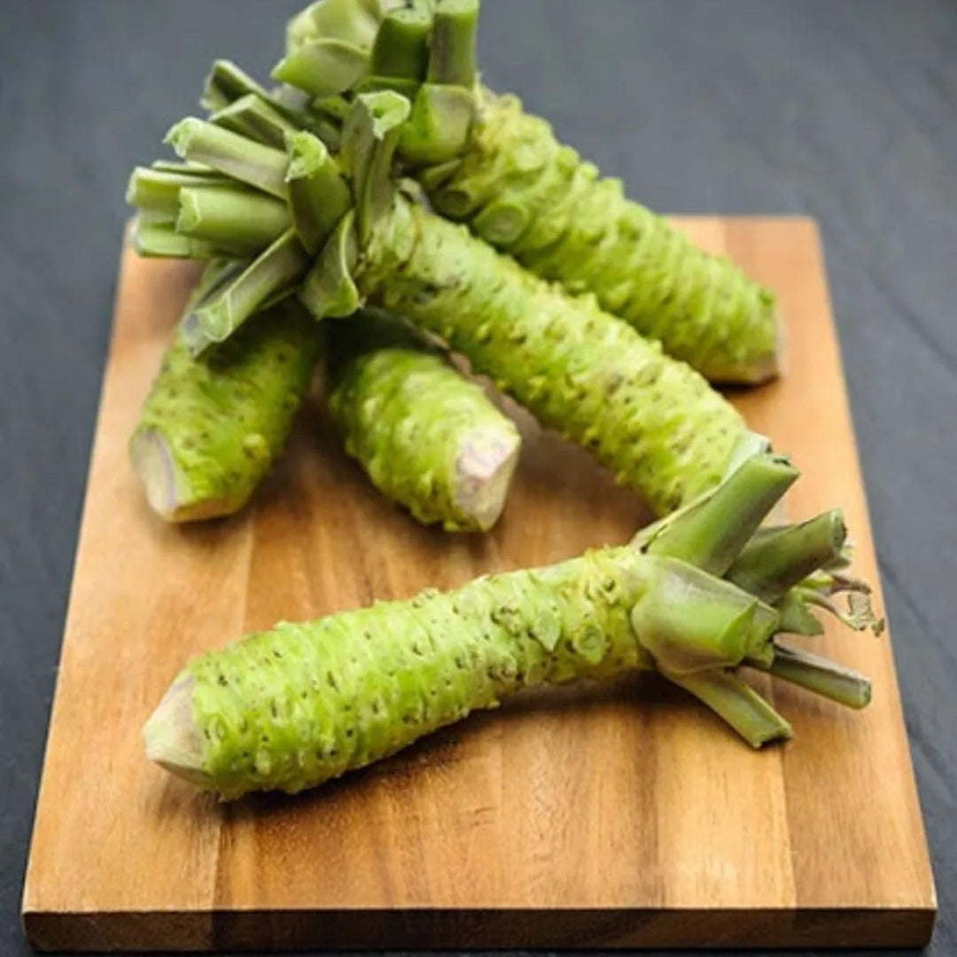 Sawa Wasabi herb seeds