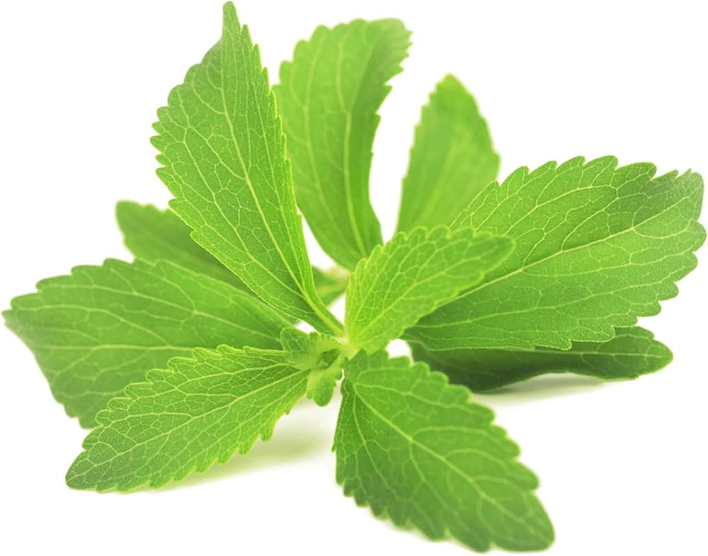 Starleaf Stevia herb seeds