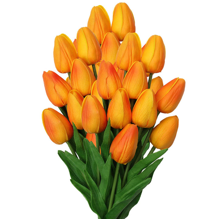 Orange Tulip Flower Seeds – Heirloom, Non-GMO, High Germination Seeds for Planting