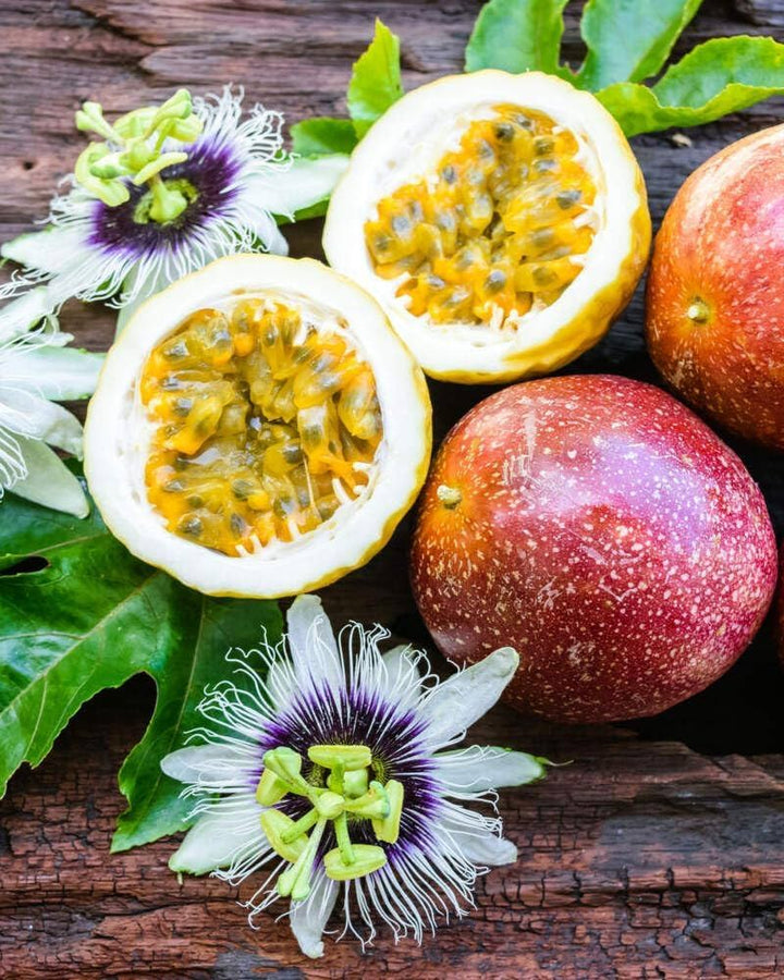 Purple Passiflora Seeds Heirloom Non-GMO High Germination Organic Garden Seeds