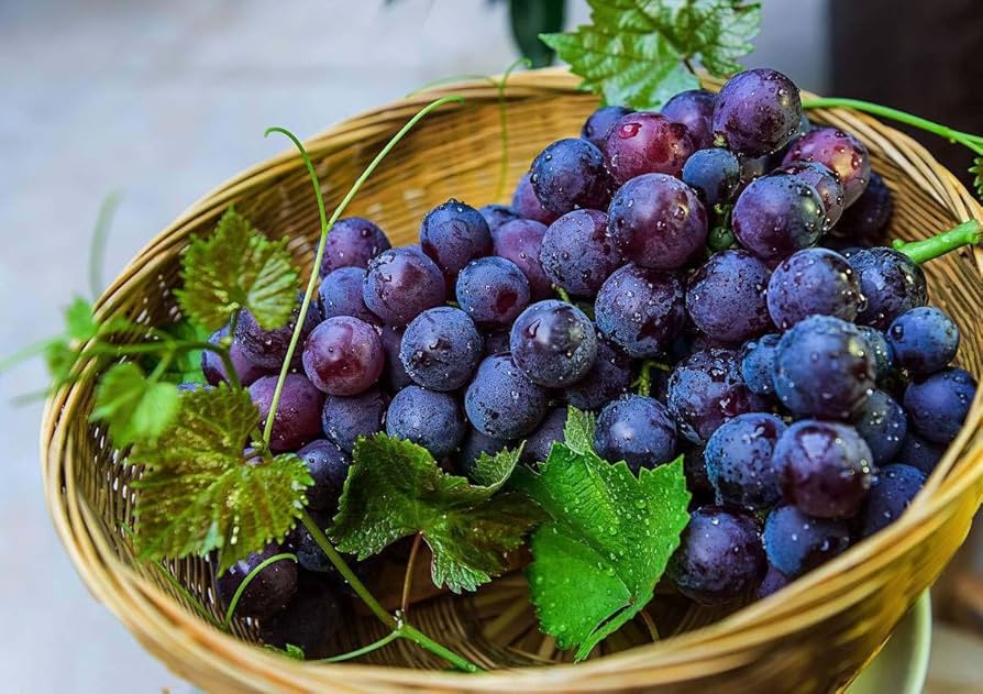 kyoho grape flower seeds