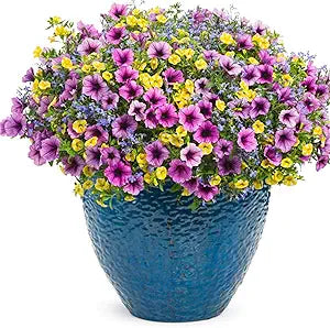calibrachoa petunia flower seeds