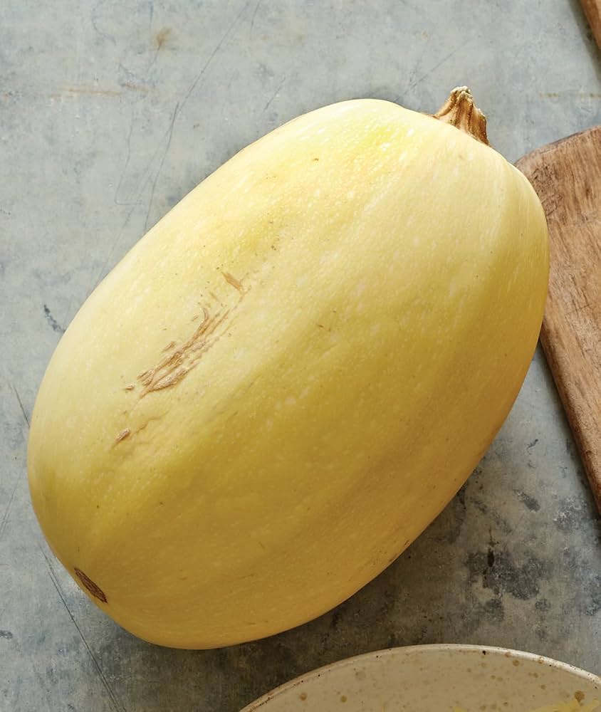 vegetable spaghetti flower seeds
