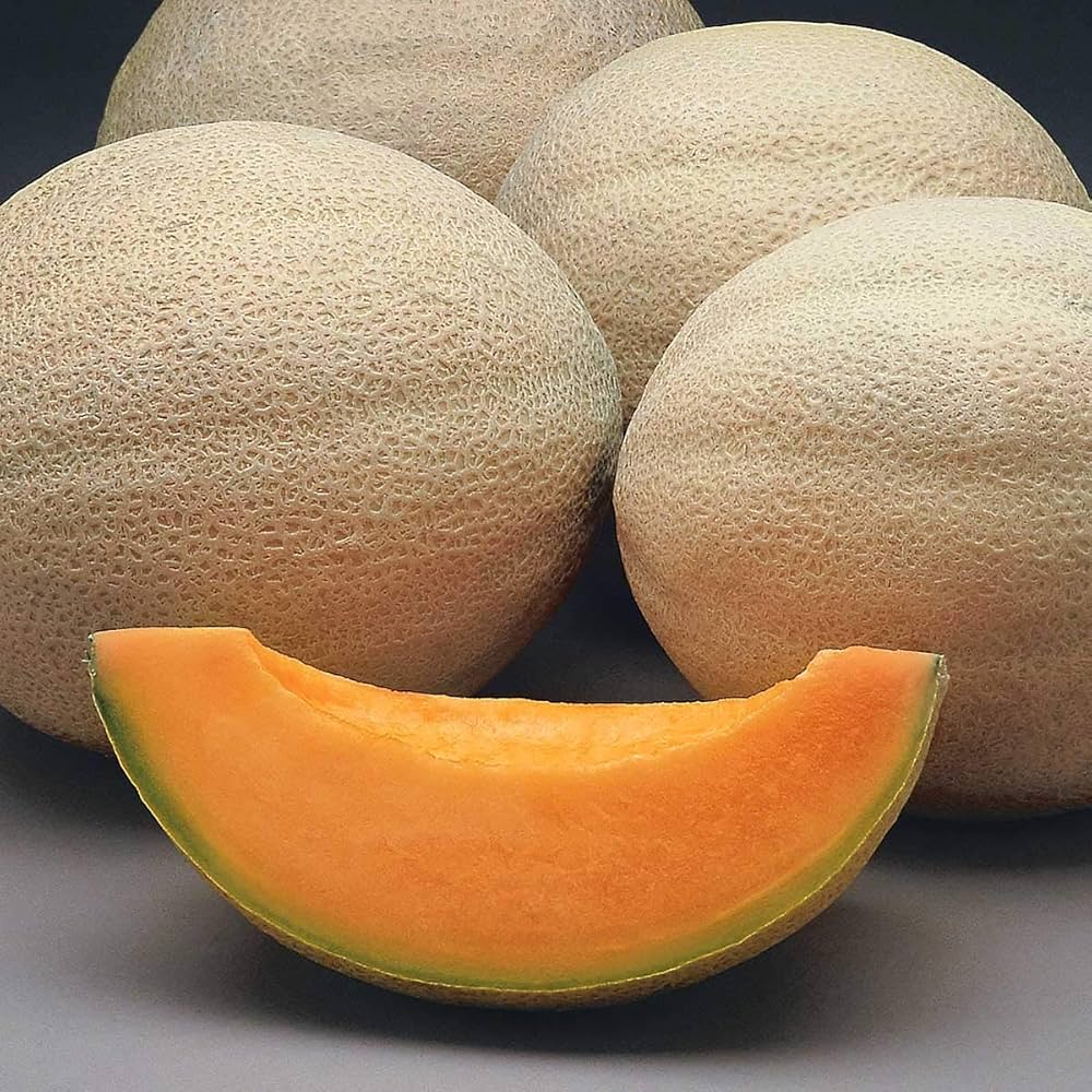 muskmelon cucumis flower seeds