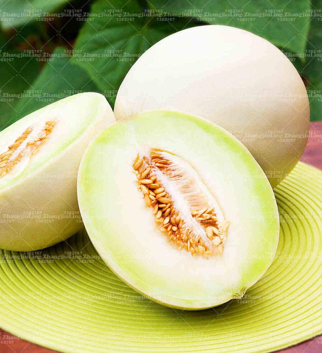 pflanz jumbo flower seeds