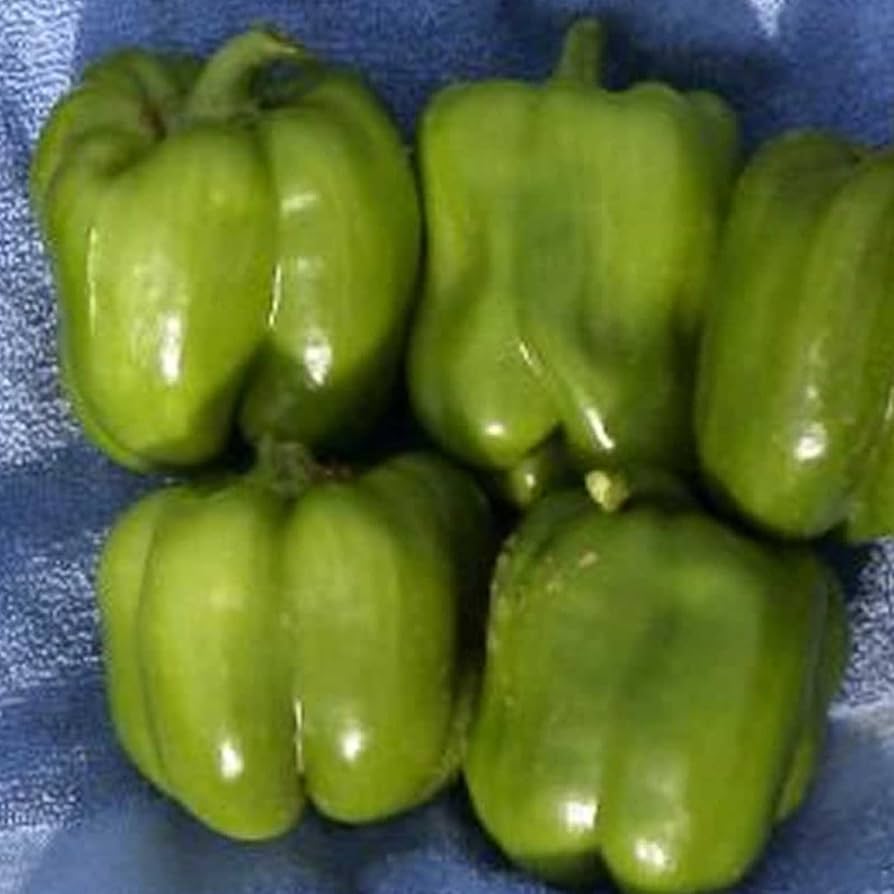 green red flower seeds