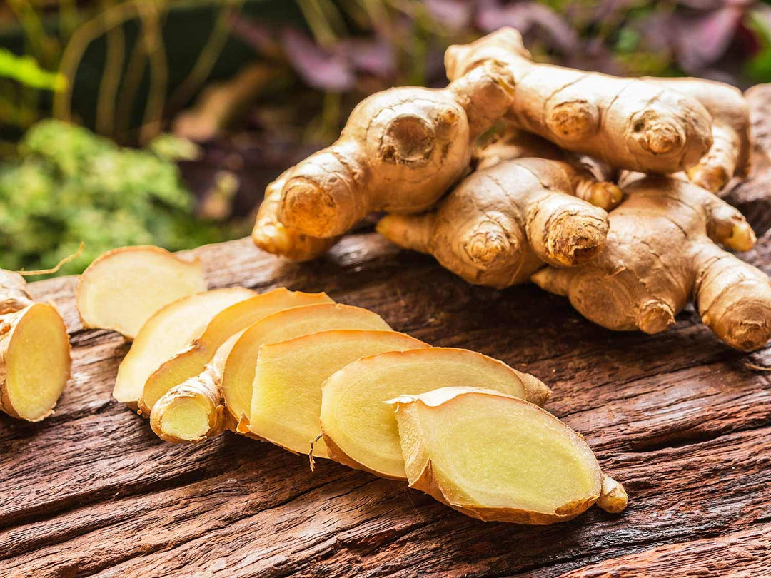 imported ginger flower seeds