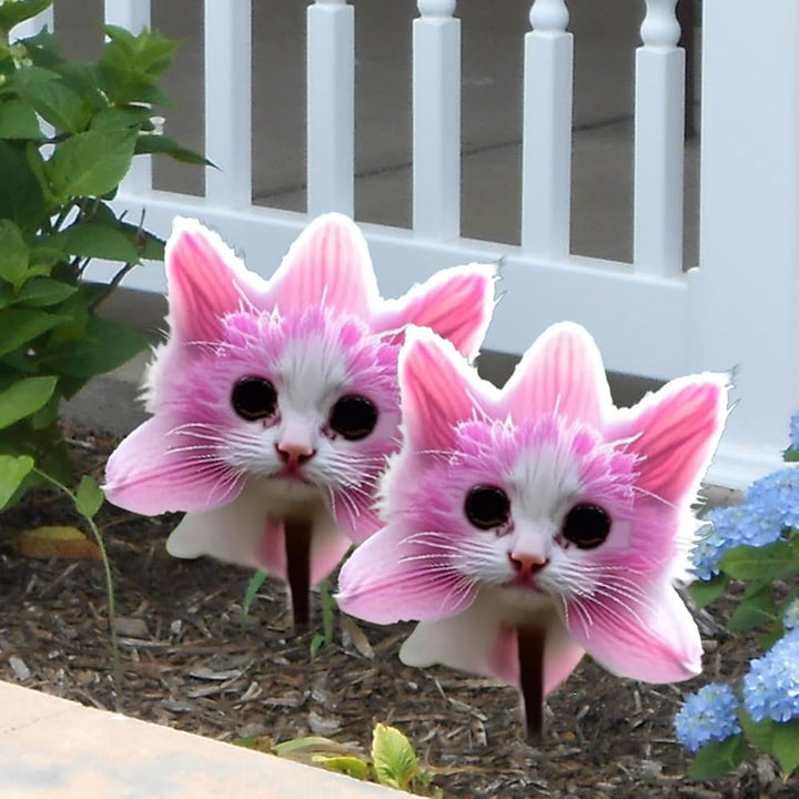 New Cat Face Flower Seeds –  Heirloom Non-GMO High Germination Organic Garden Seeds
