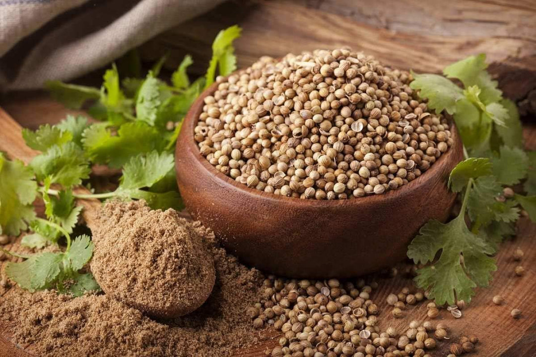 Coriander For herb seeds