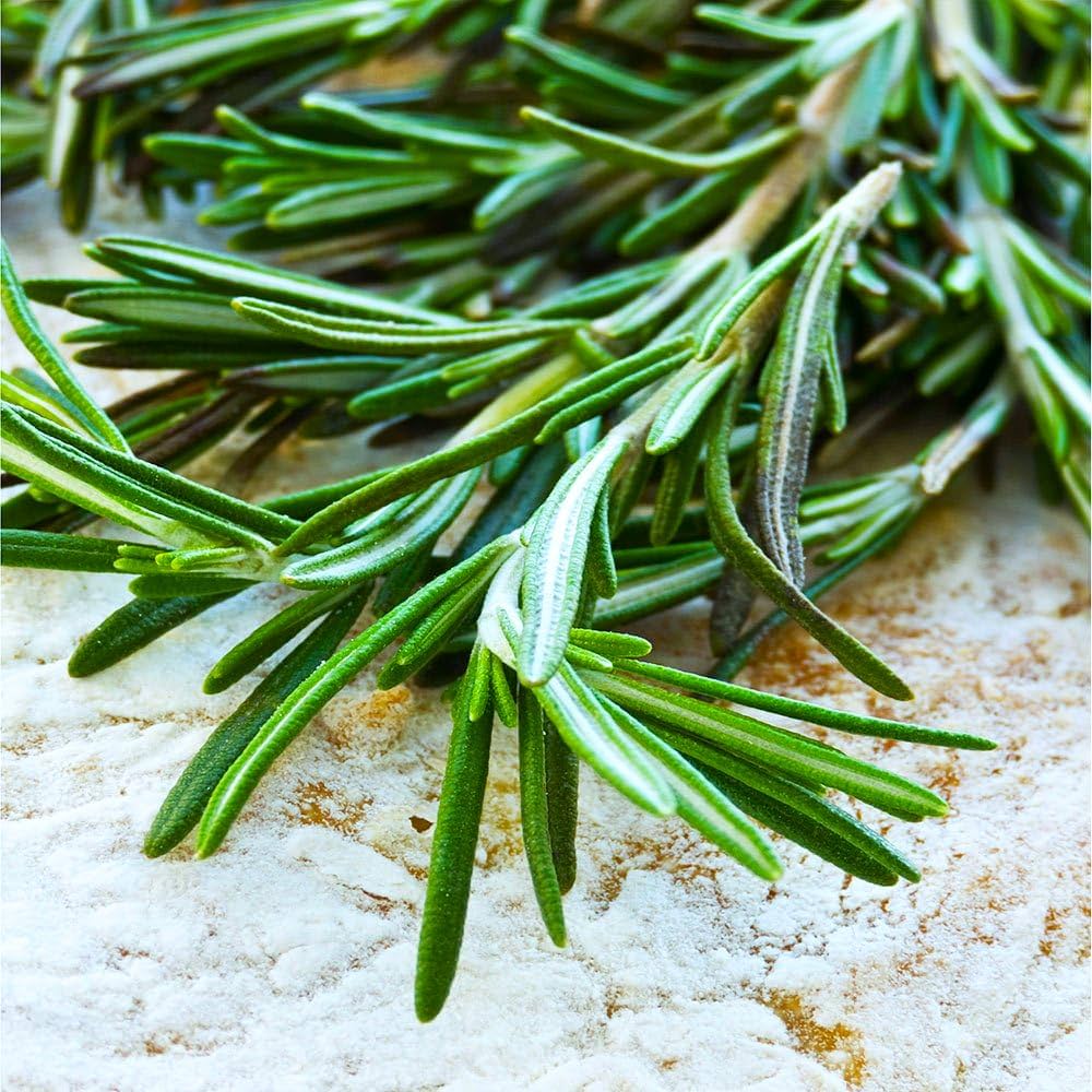Rosemary For herb seeds