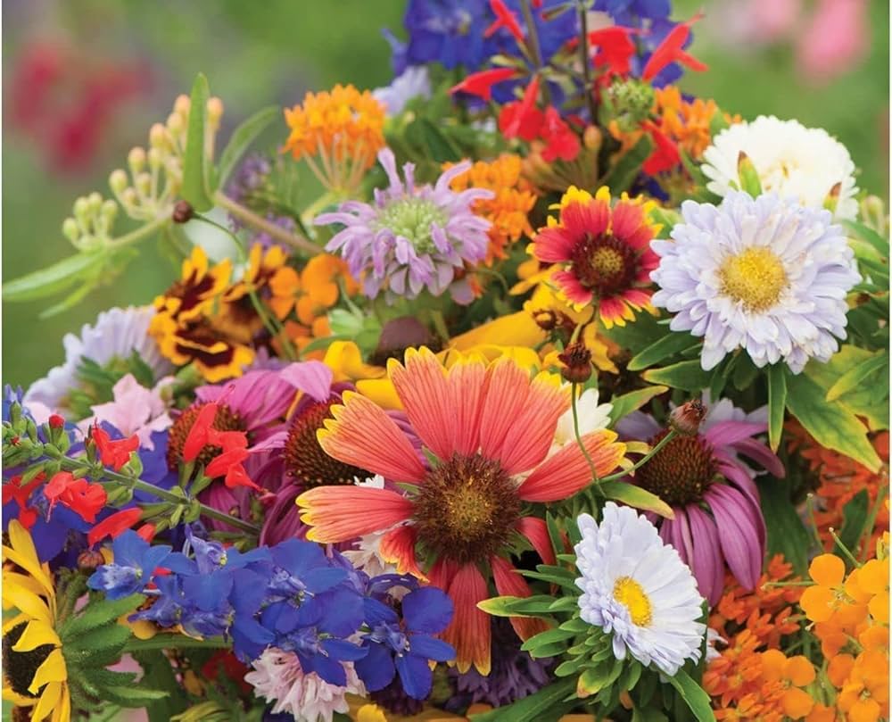 burpee wildflower flower seeds