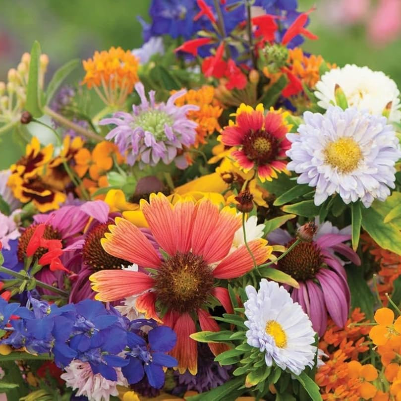 wildflower mix flower seeds