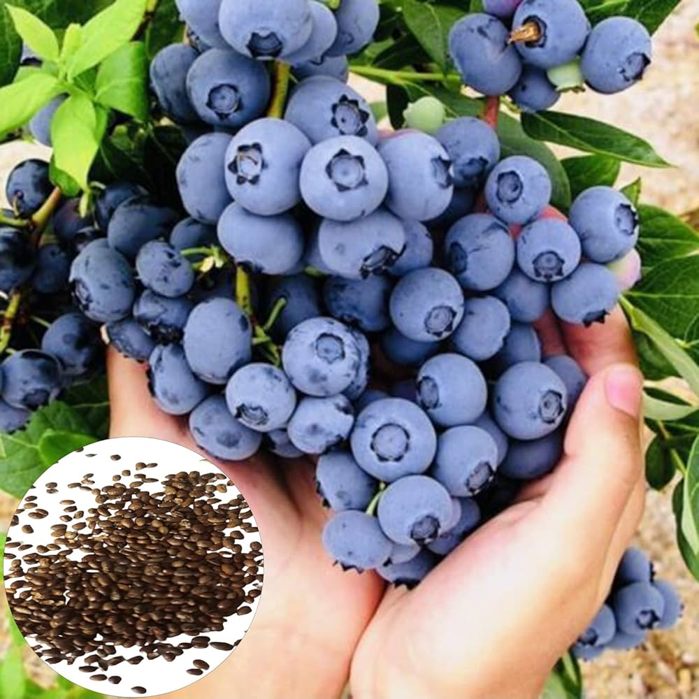 north american flower seeds