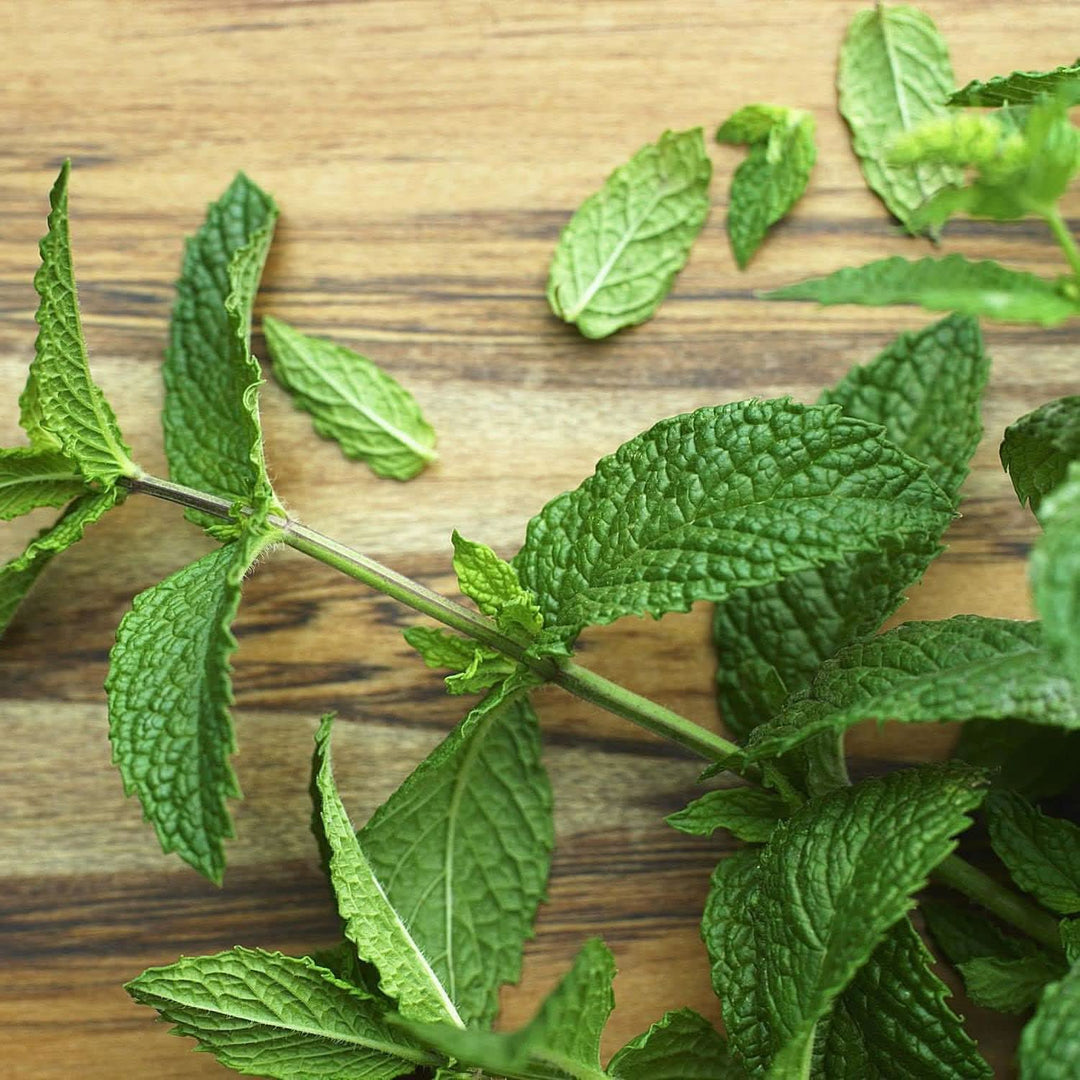 Green Army herb seeds