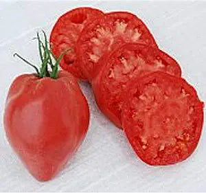 heart tomato flower seeds