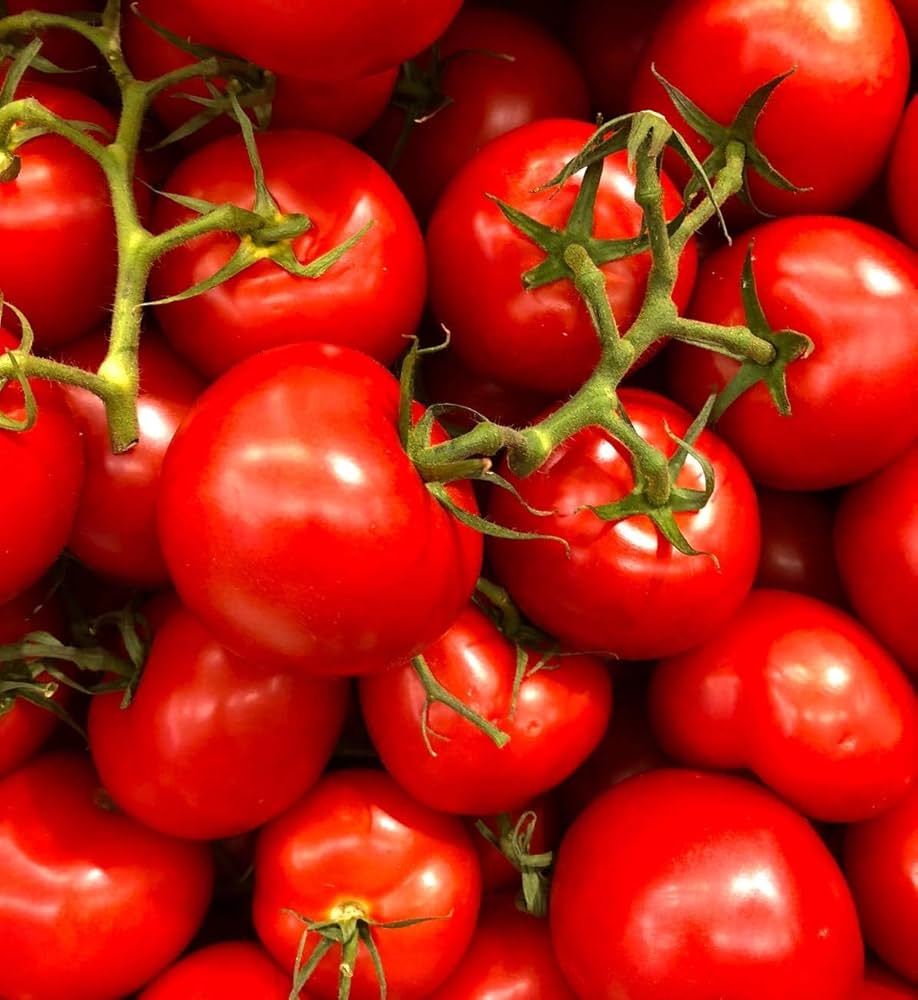porter tomato flower seeds