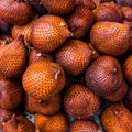 Salak Snake Fruit Seeds for Planting Heirloom Non-GMO High Germination Organic Garden Seeds