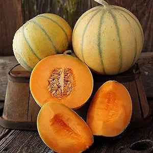 charentais melon flower seeds