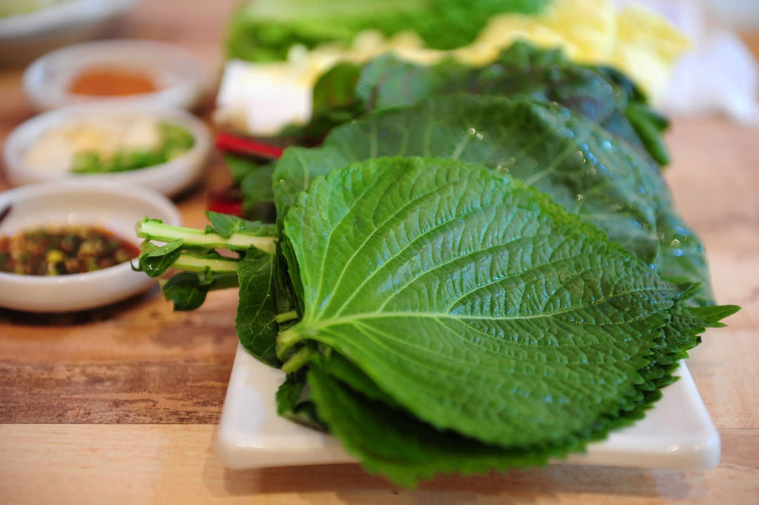 Korean Shiso herb seeds