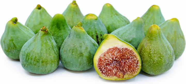 Fig Tree Seeds Green for Planting – Heirloom Non-GMO High Germination Organic Garden Seeds
