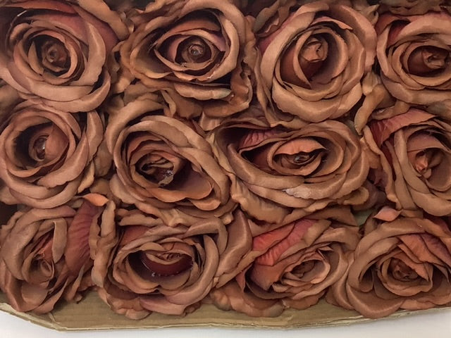 Giant Rose Flower Seeds Brown – Heirloom, Non-GMO, High Germination Organic Garden Seeds for Planting