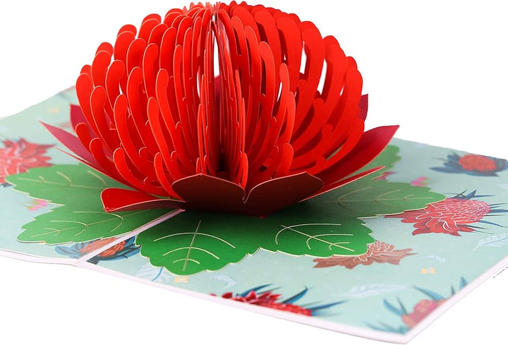 Red Waratah Flower Seeds Heirloom Non-GMO High Germination Organic Garden Seeds for Planting