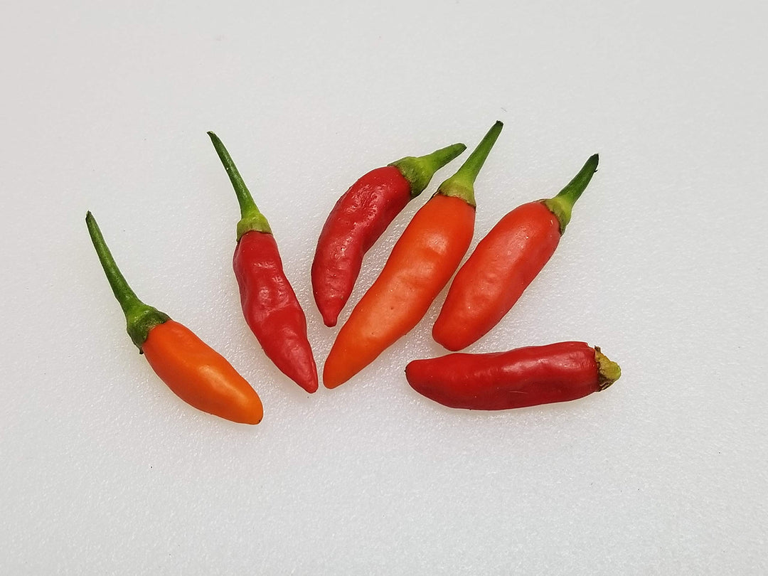 tabasco pepper flower seeds