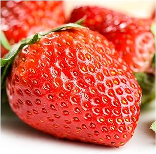 organic strawberry flower seeds