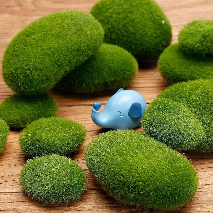 Grass Bryum herb seeds