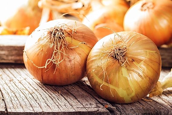 onion allium flower seeds