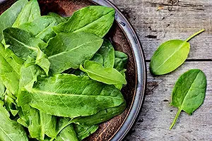 Green Sorrel herb seeds