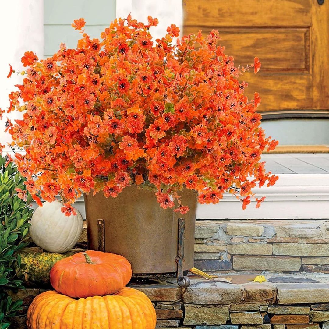 Orange Creeping Thyme Flower Seeds – Heirloom Non-GMO High Germination