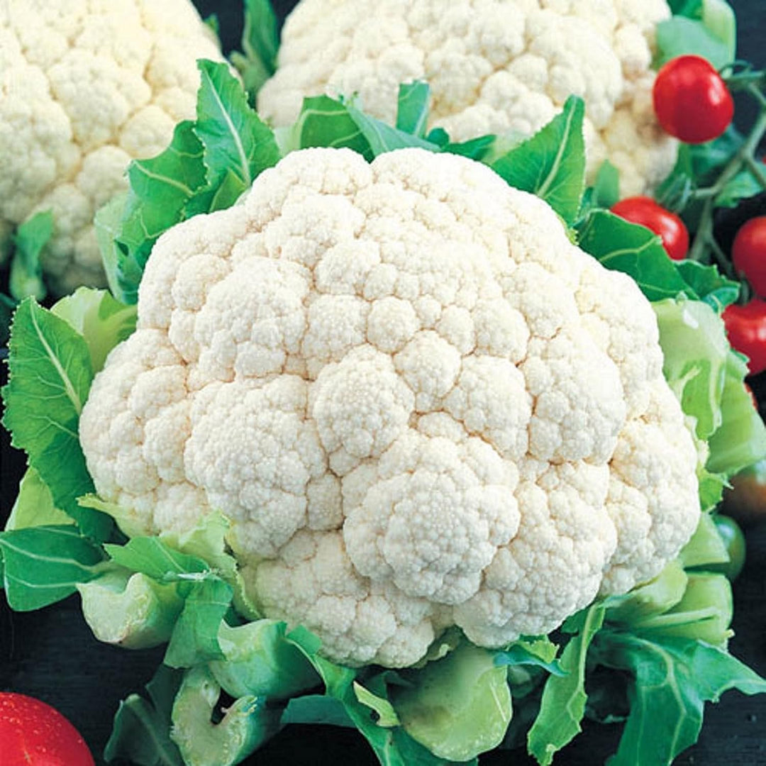cauliflower brassica flower seeds
