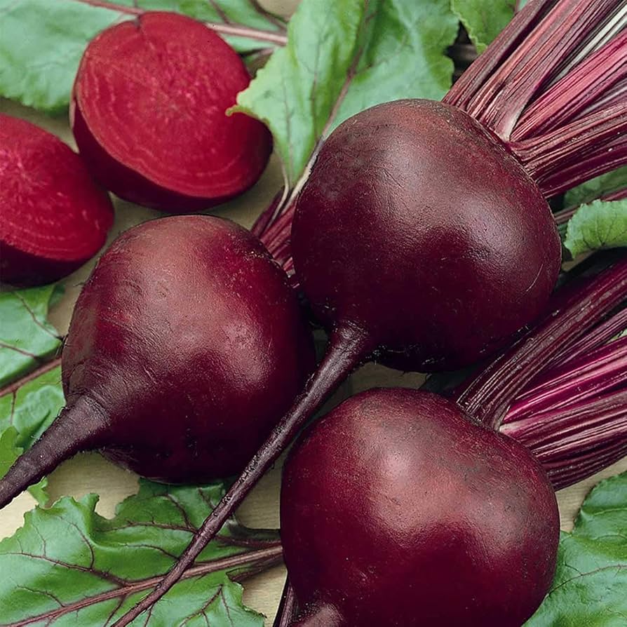 beetroot beta flower seeds