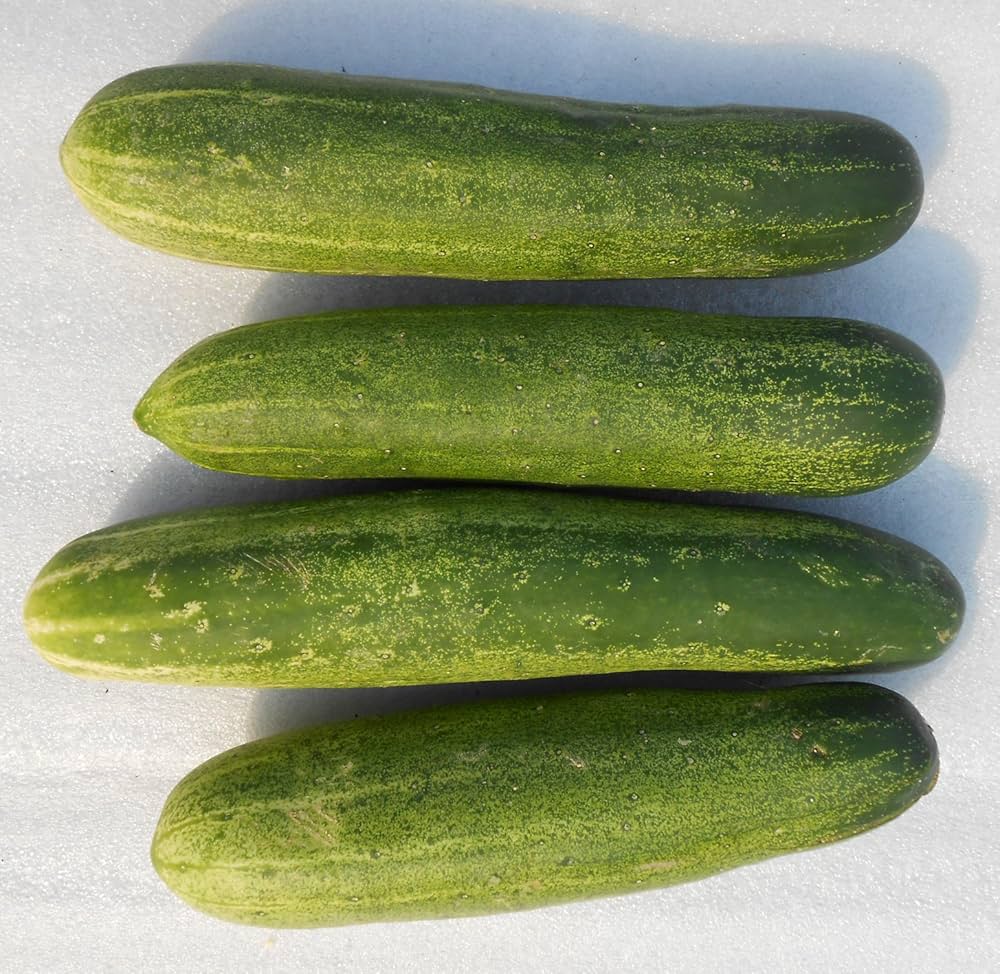 cucumber for flower seeds