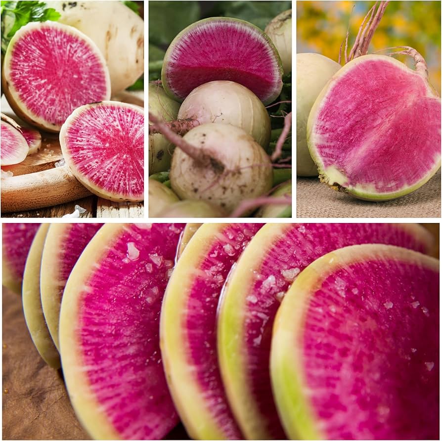 watermelon radish flower seeds