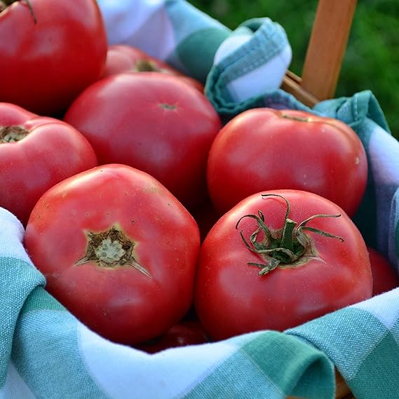 organic heirloom flower seeds