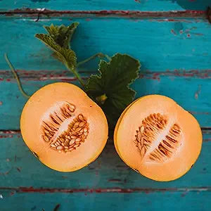 sweet cantaloupe flower seeds