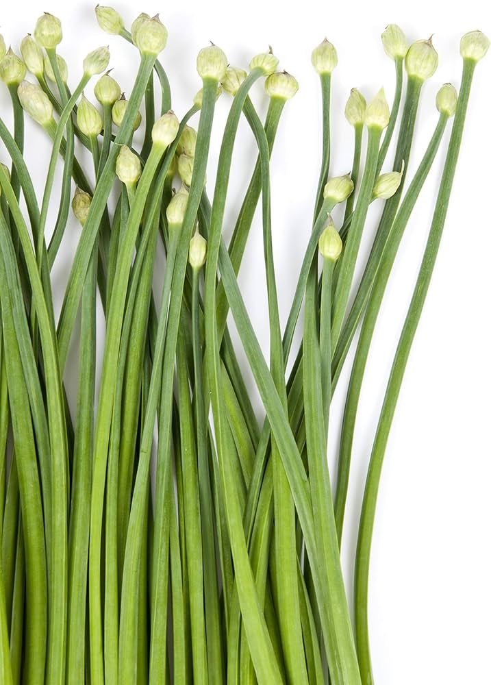 Herb Chives herb seeds