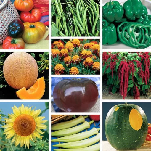 heirloom favorites flower seeds